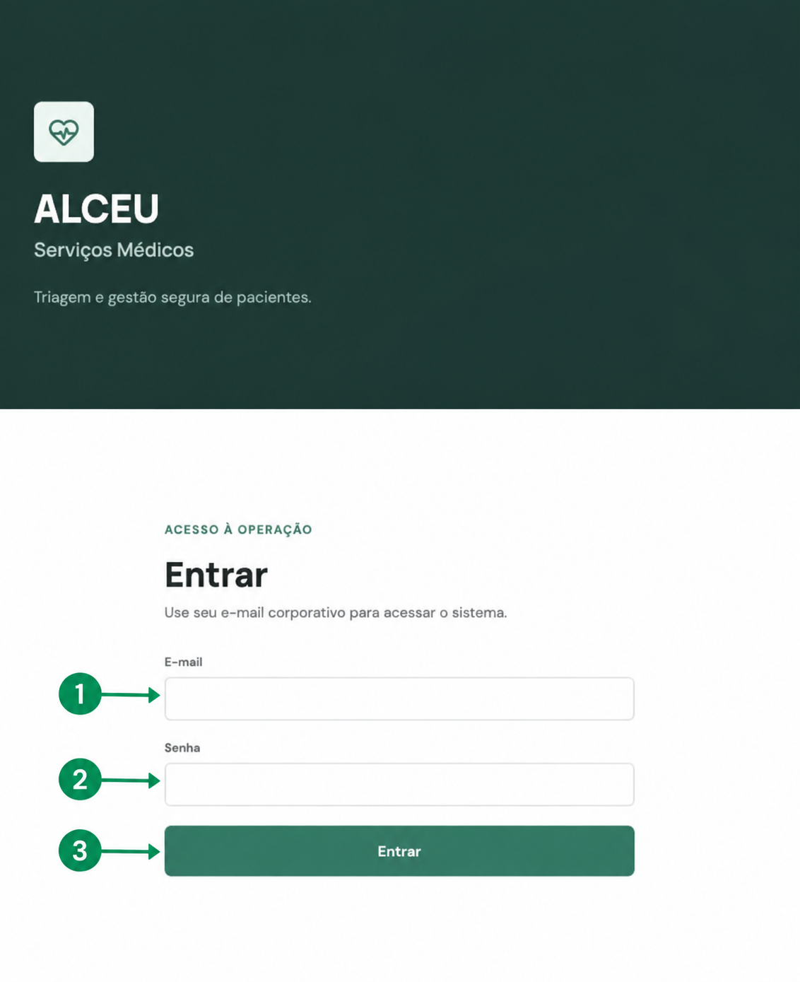 Tela de acesso com marcações nos campos de e-mail, senha e botão Entrar